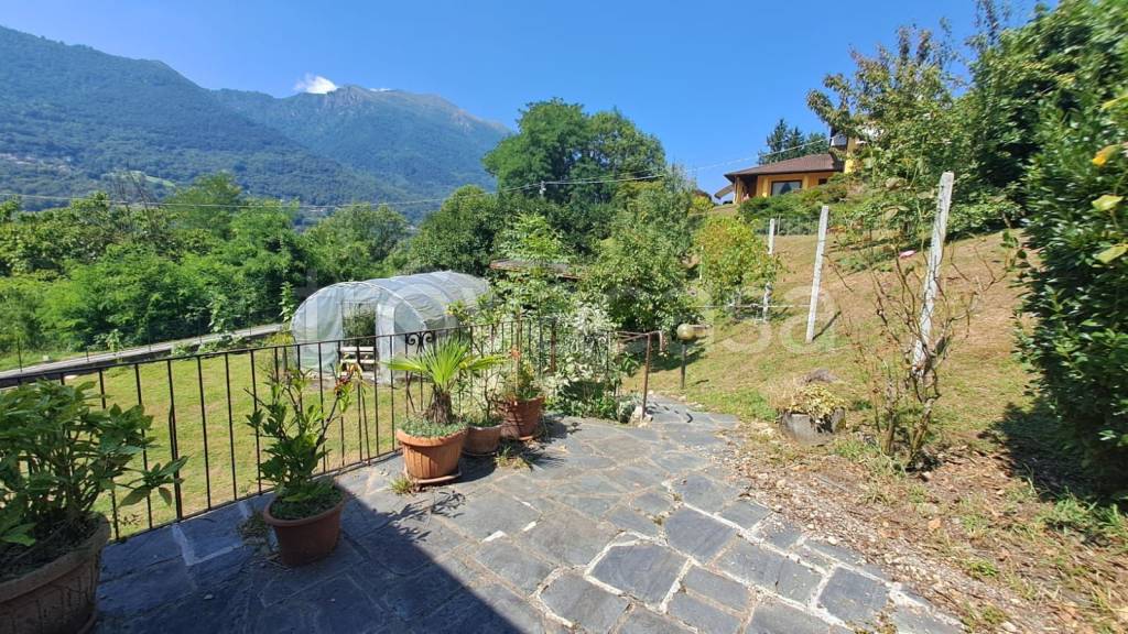 immagine annuncio 5 di 15