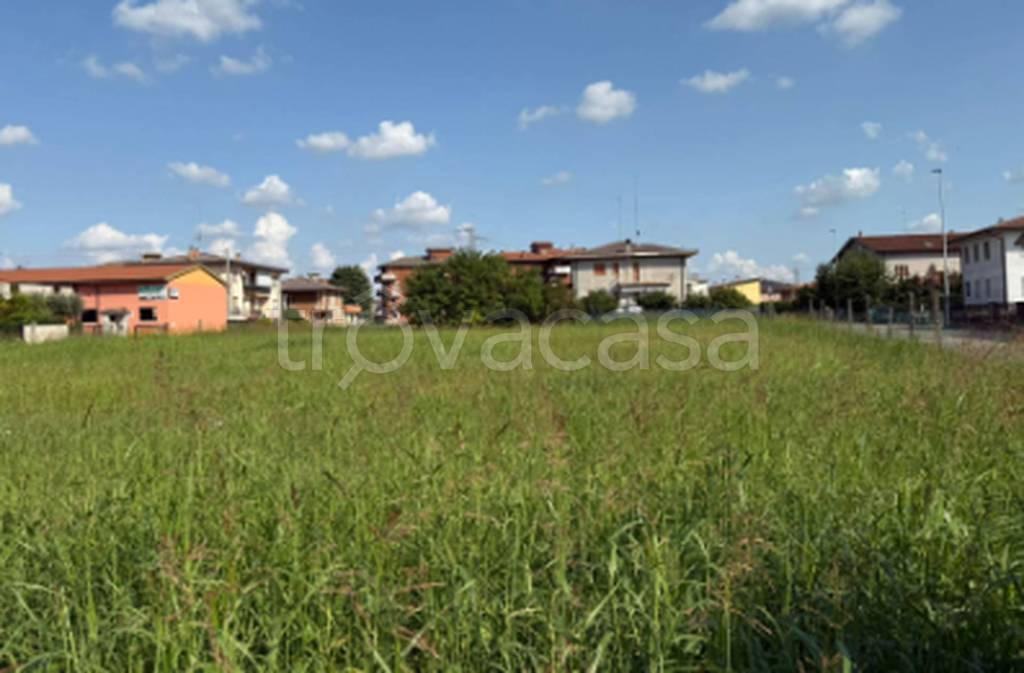 immagine annuncio 3 di 12