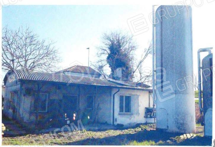 immagine annuncio 2 di 12