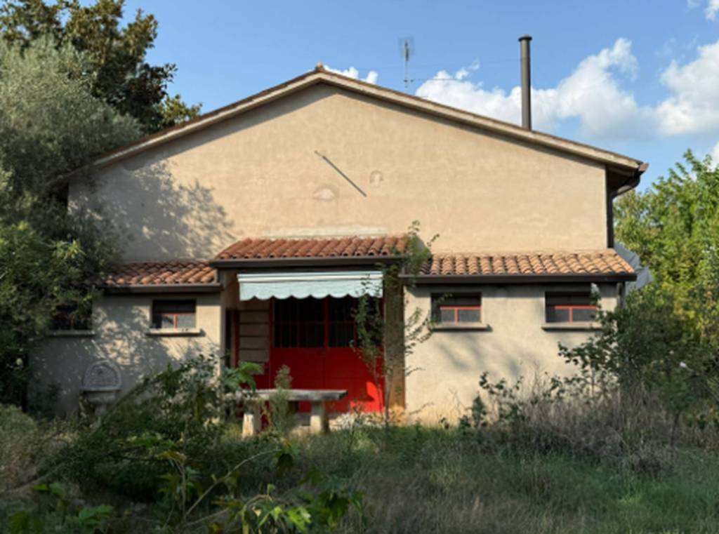 immagine annuncio 8 di 12