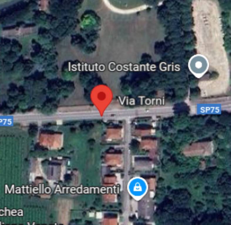 immagine annuncio 5 di 11