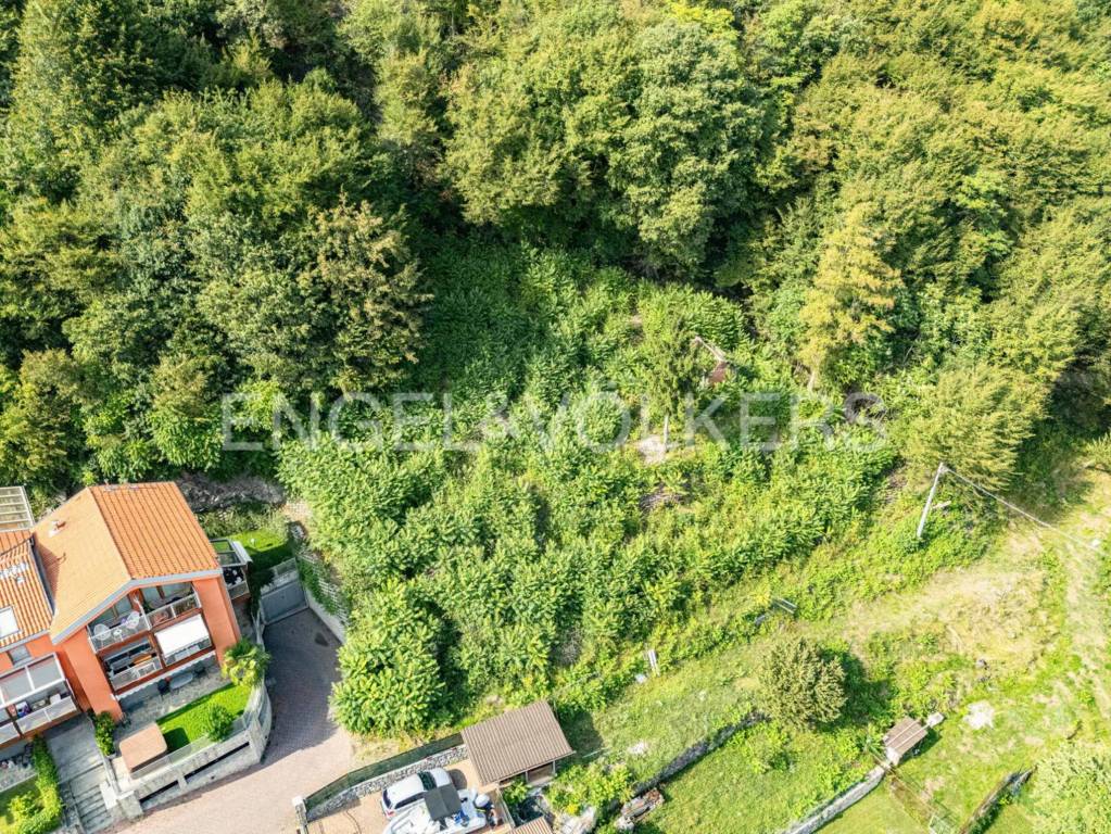 immagine annuncio 3 di 7