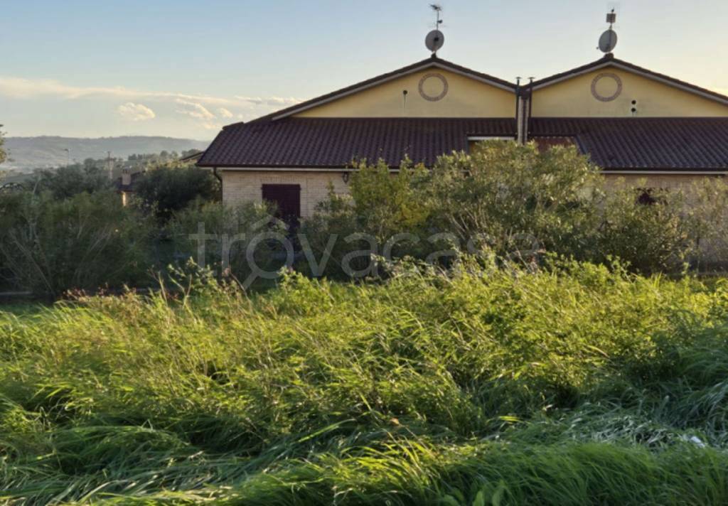 immagine annuncio 2 di 11