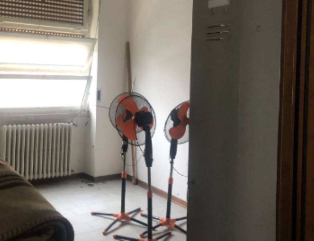 immagine annuncio 9 di 13