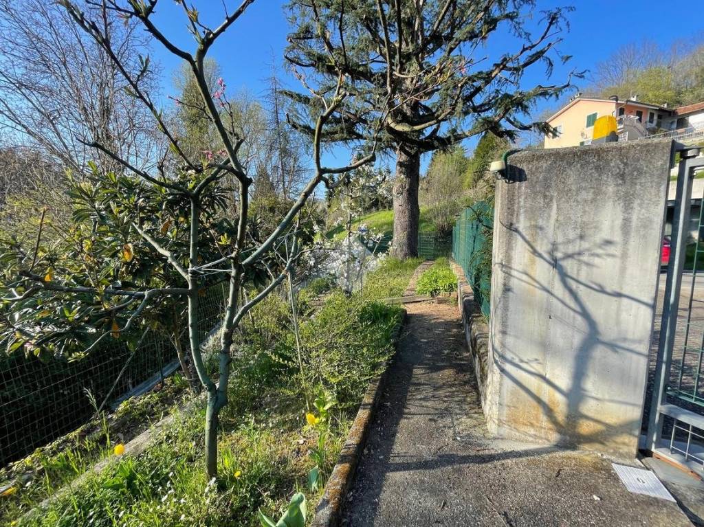 immagine annuncio 8 di 14