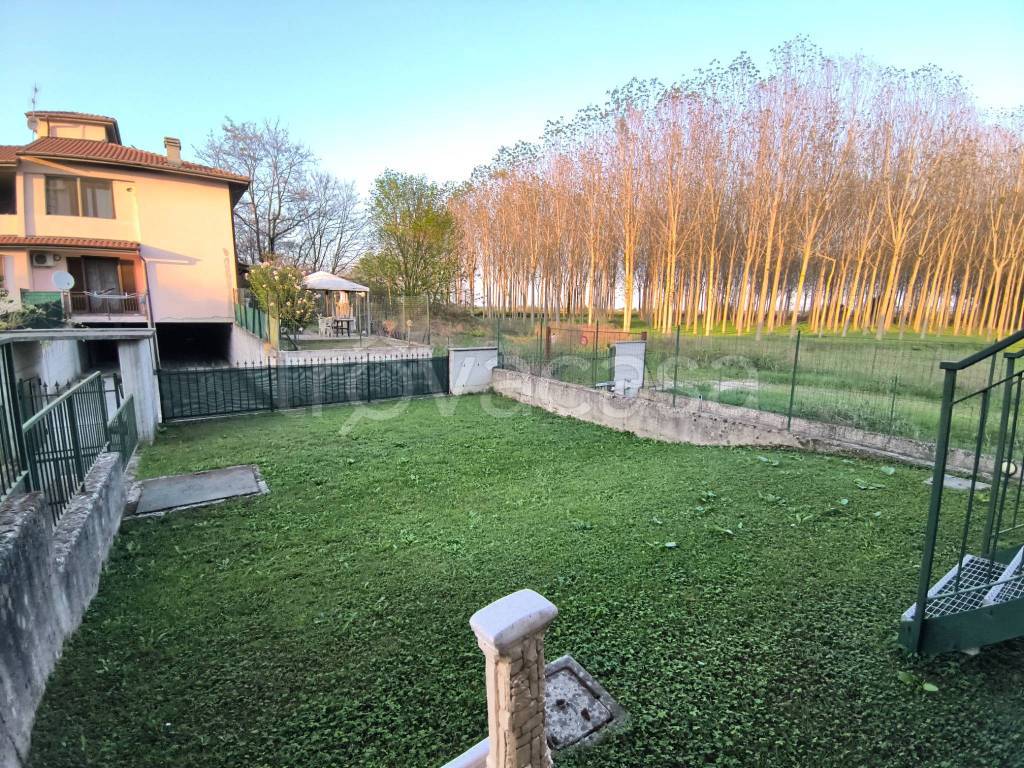 immagine annuncio 11 di 15