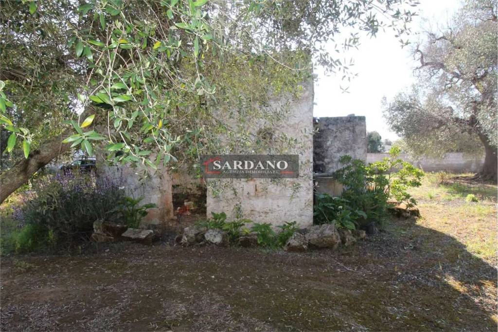 immagine annuncio 5 di 8