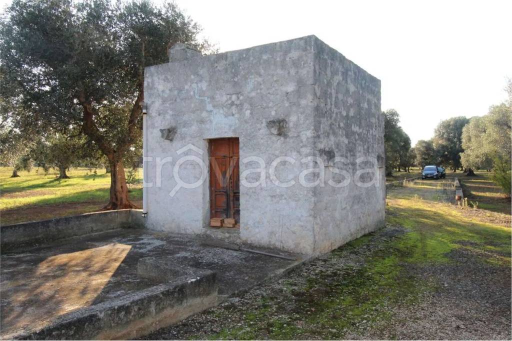 immagine annuncio 3 di 6