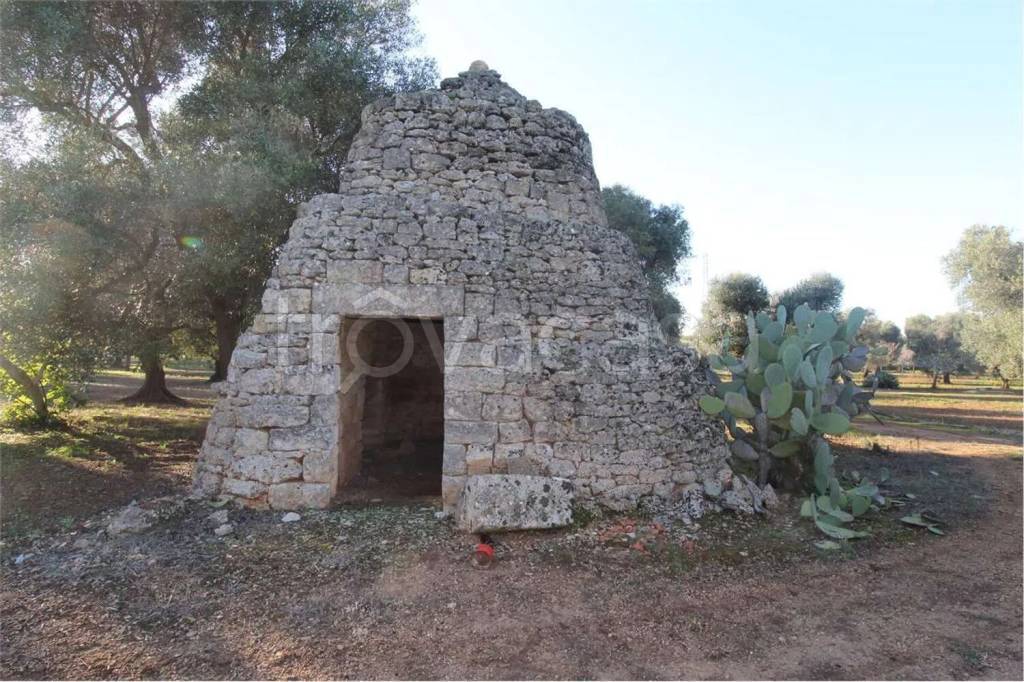 immagine annuncio 4 di 6