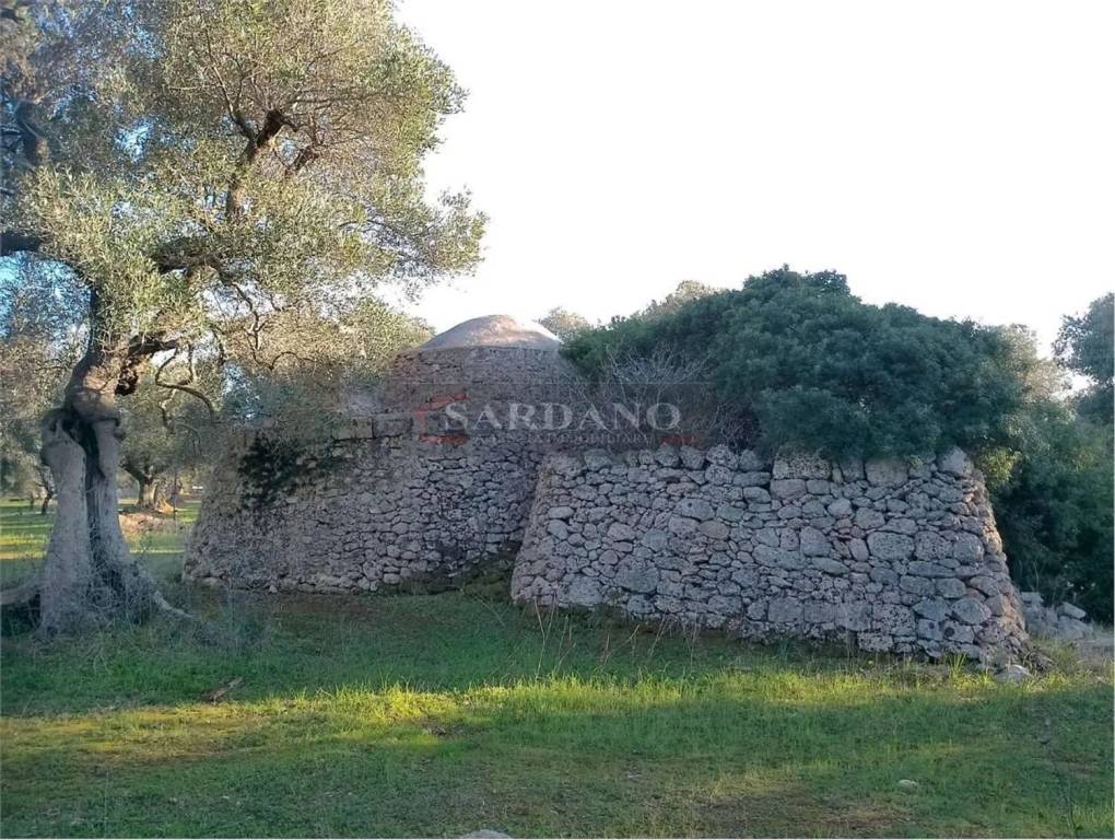 immagine annuncio 5 di 7