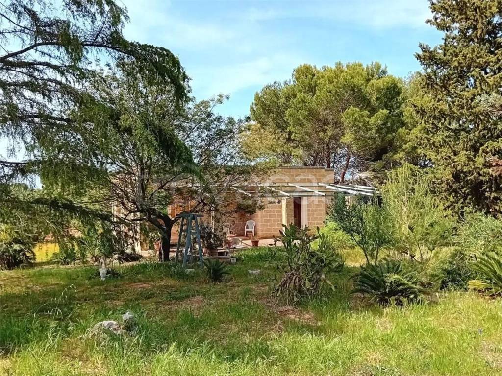 immagine annuncio 10 di 15