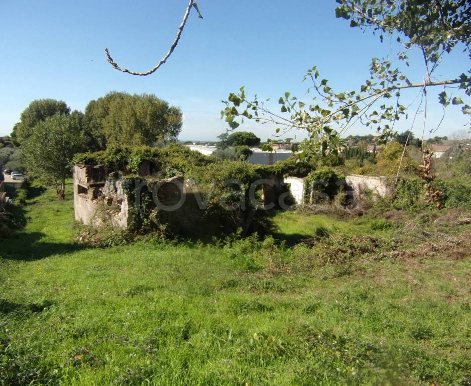 immagine annuncio 6 di 11