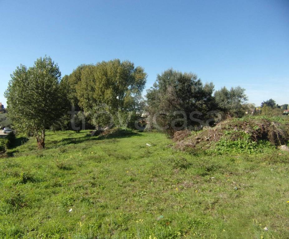 immagine annuncio 7 di 11