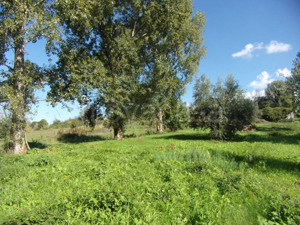 immagine annuncio 8 di 11