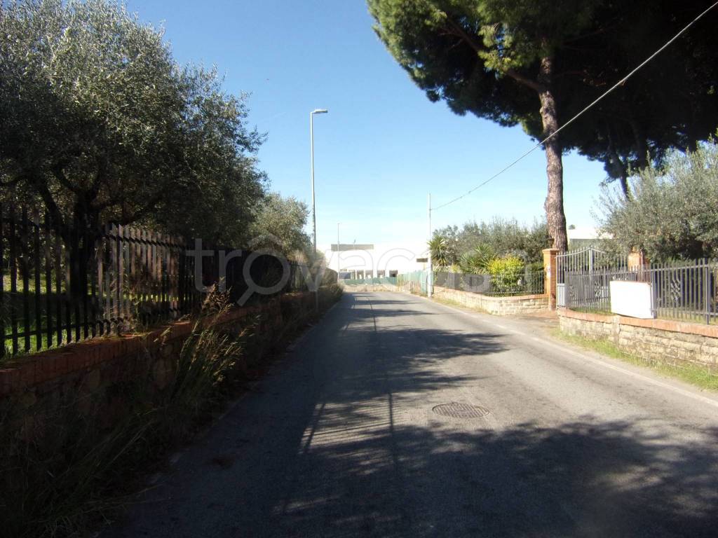 immagine annuncio 10 di 11