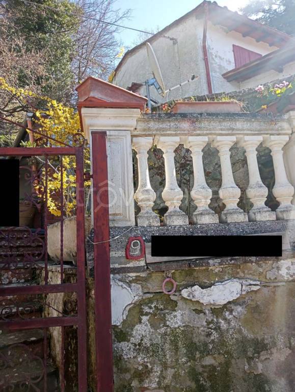 immagine annuncio 9 di 12