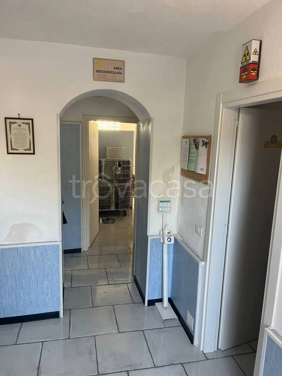 immagine annuncio 2 di 6