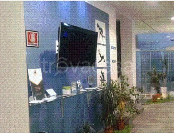 immagine annuncio 3 di 8