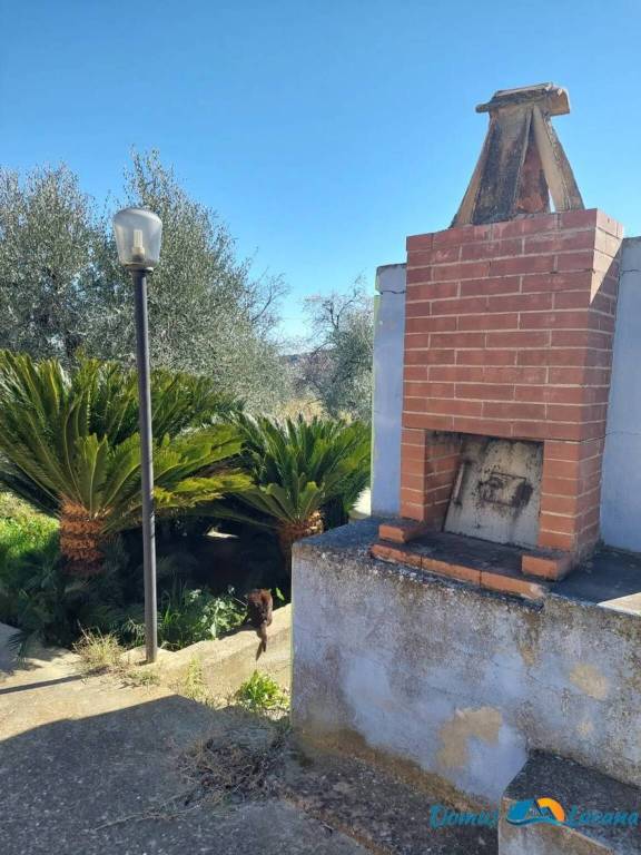 immagine annuncio 5 di 9