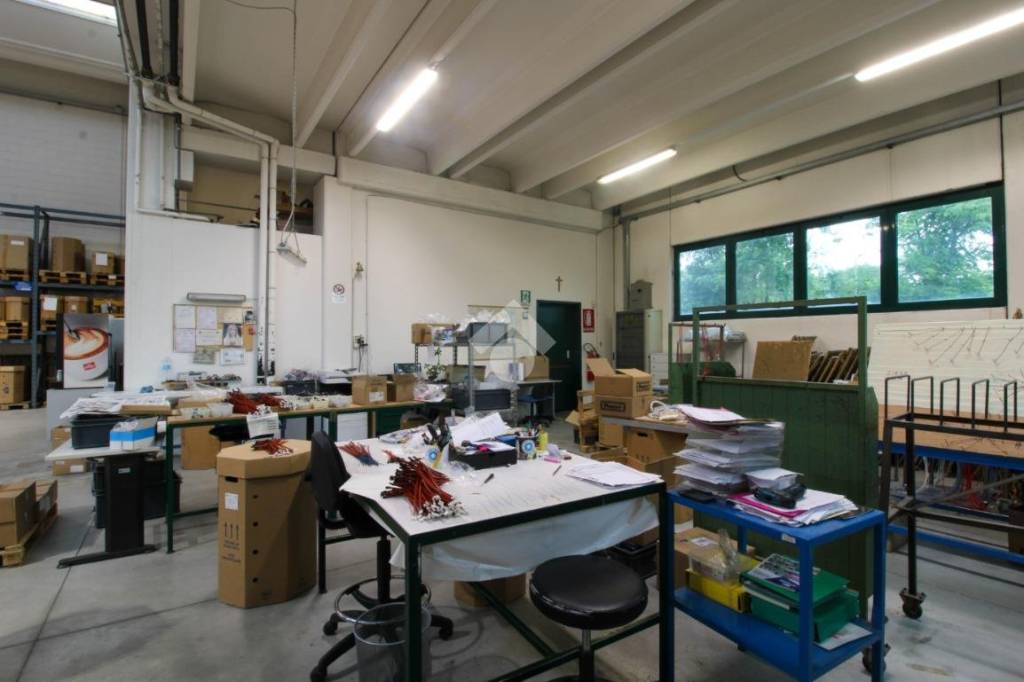 immagine annuncio 10 di 15