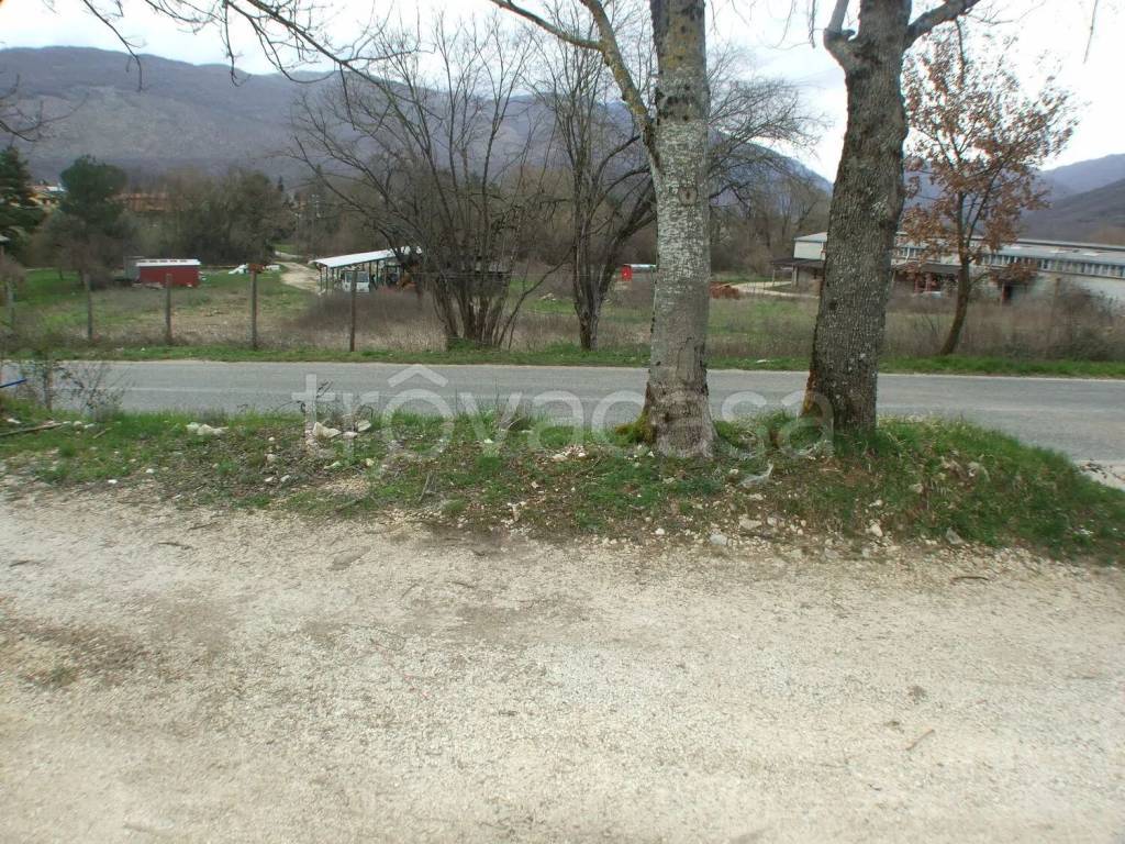 immagine annuncio 5 di 9