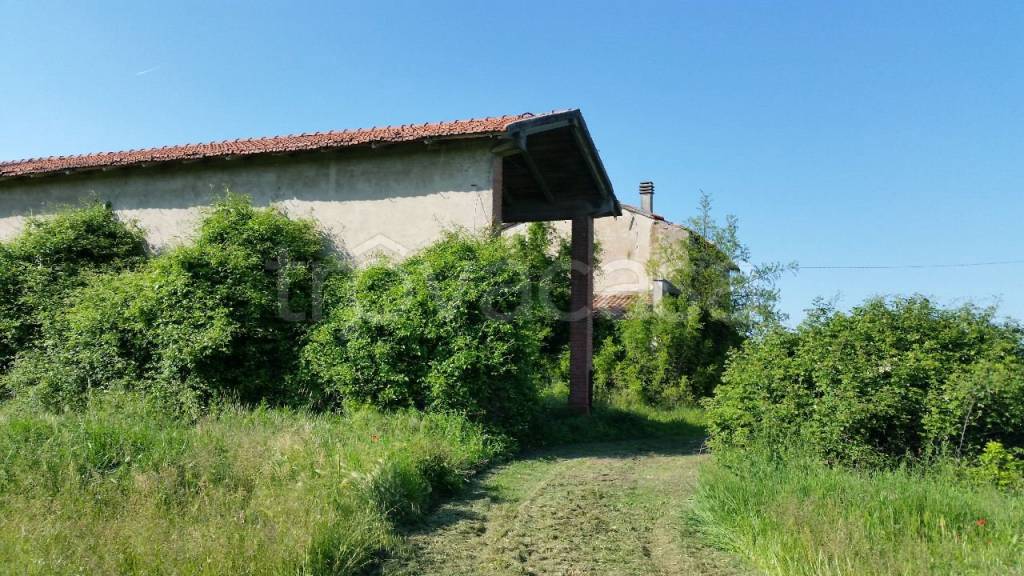 immagine annuncio 6 di 7