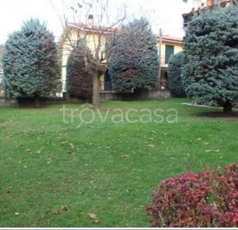 immagine annuncio 10 di 12