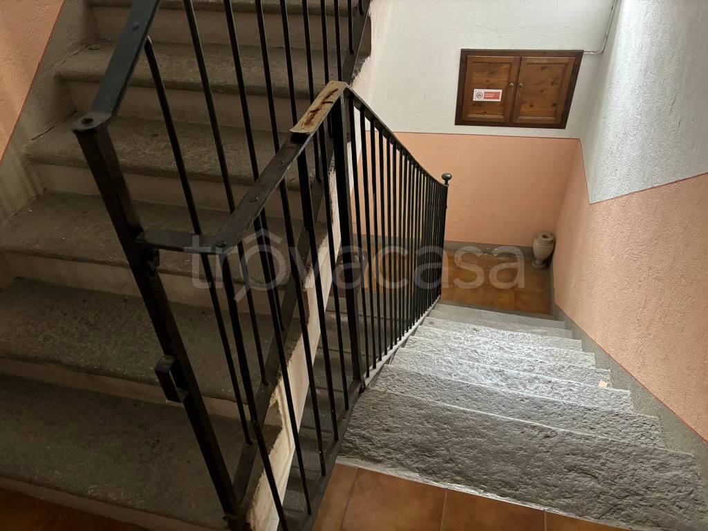 immagine annuncio 3 di 14