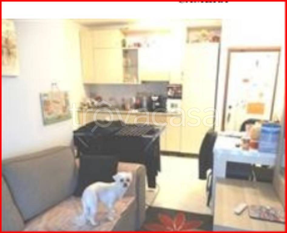 immagine annuncio 6 di 12