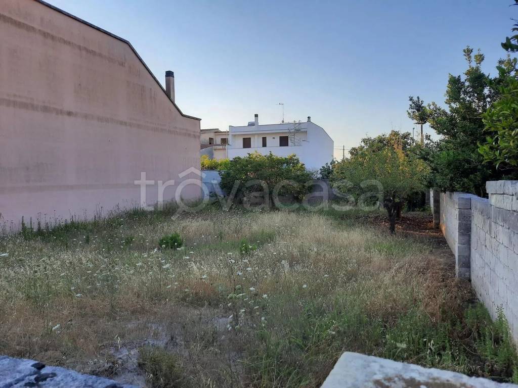 immagine annuncio 1 di 7