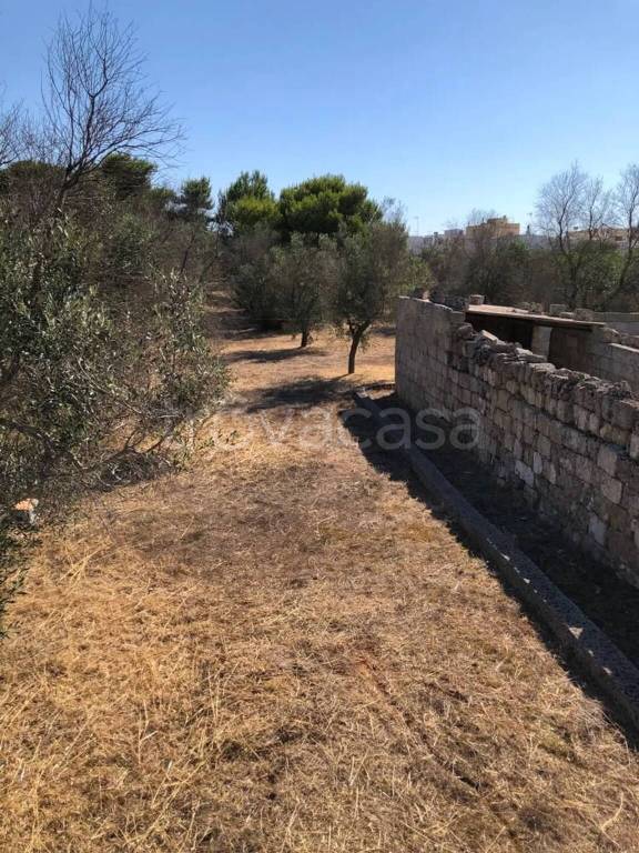 immagine annuncio 3 di 11