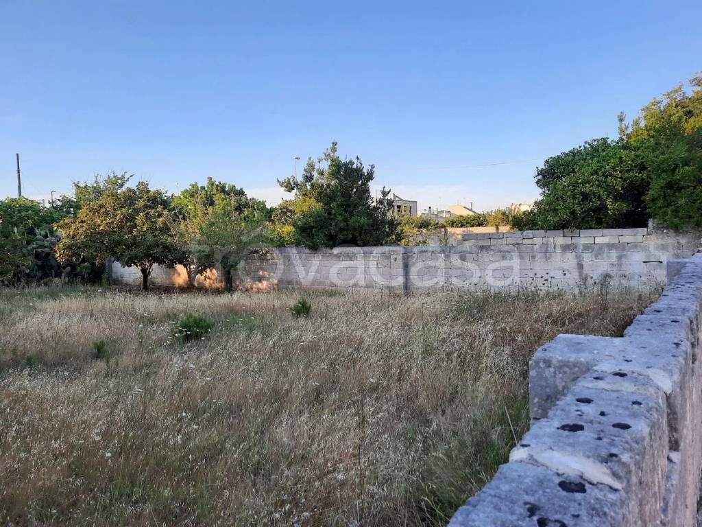 immagine annuncio 3 di 7