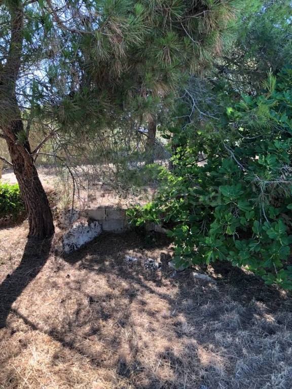 immagine annuncio 6 di 11