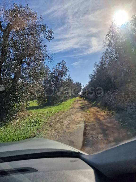 immagine annuncio 12 di 13