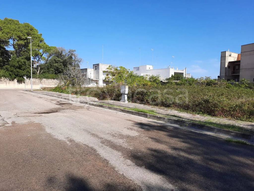 immagine annuncio 2 di 7