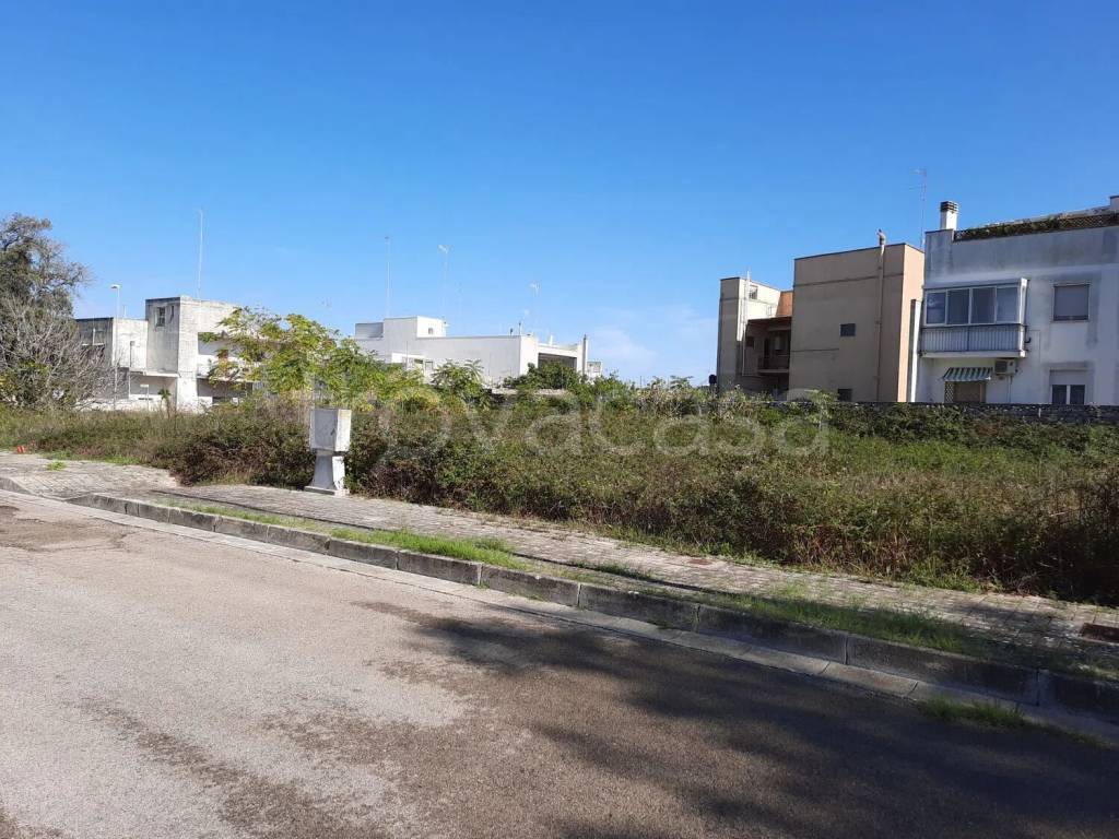 immagine annuncio 3 di 7