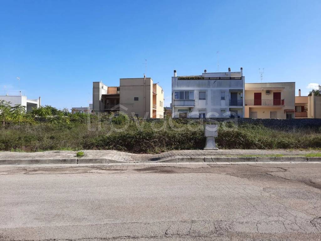 immagine annuncio 5 di 7