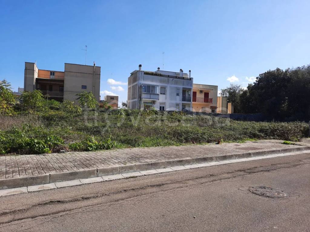 immagine annuncio 6 di 7