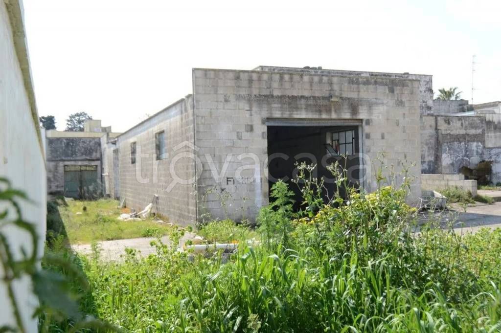 immagine annuncio 6 di 7