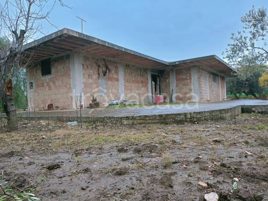 immagine annuncio 2 di 12