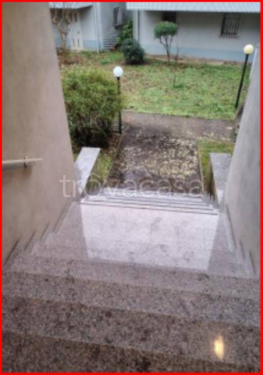 immagine annuncio 4 di 12