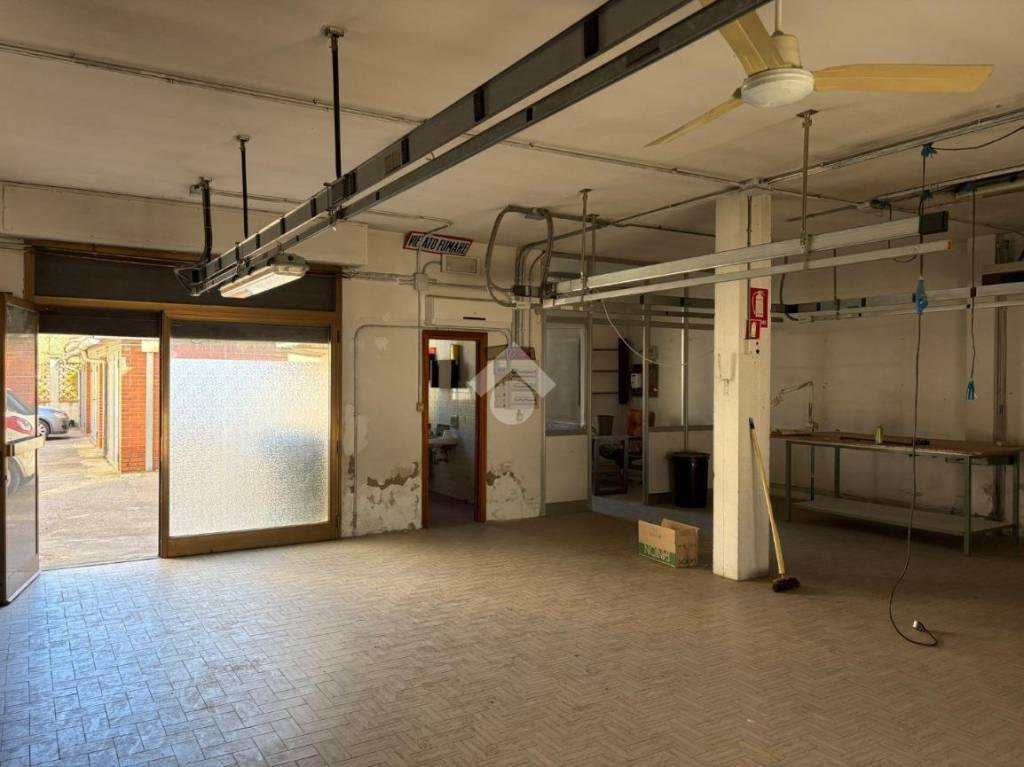 immagine annuncio 7 di 14