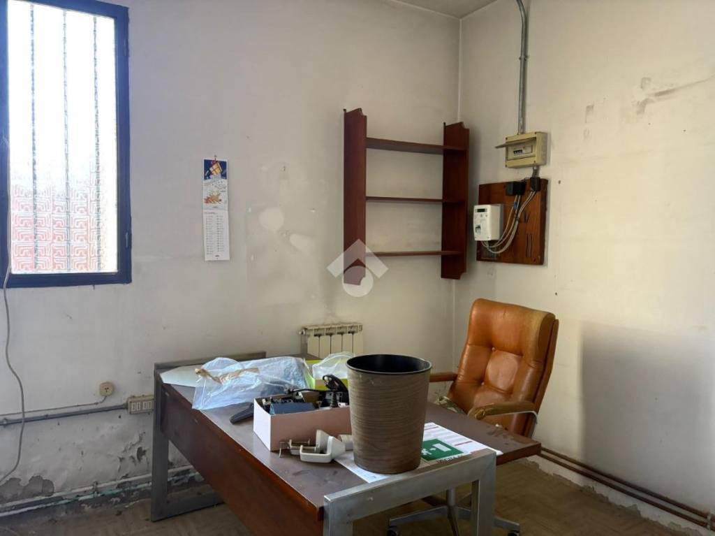 immagine annuncio 9 di 14