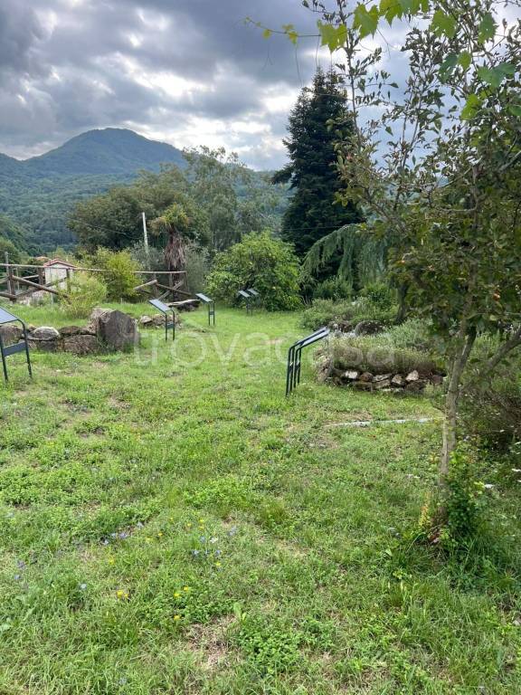 immagine annuncio 2 di 7