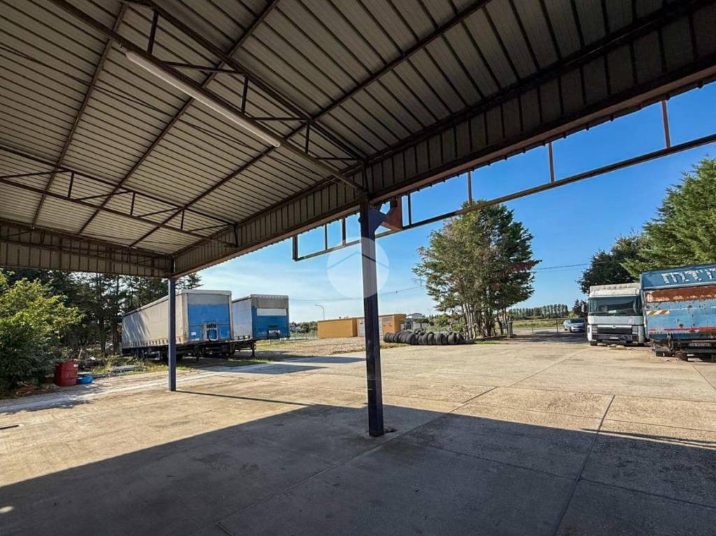 immagine annuncio 4 di 15