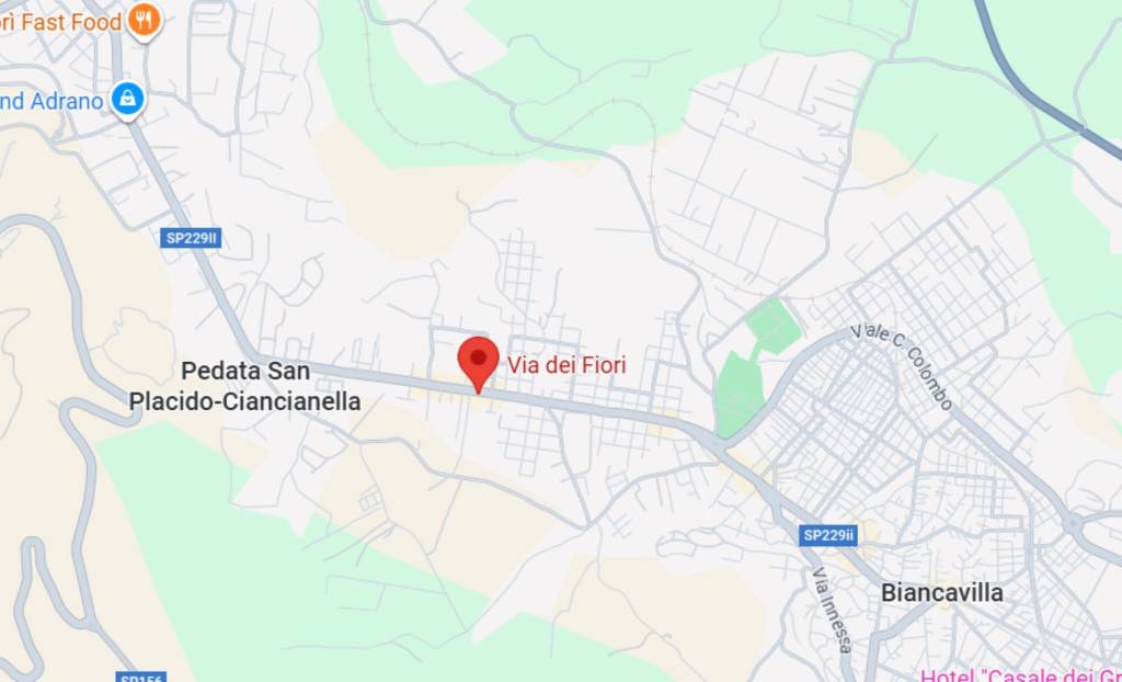 immagine annuncio 3 di 11