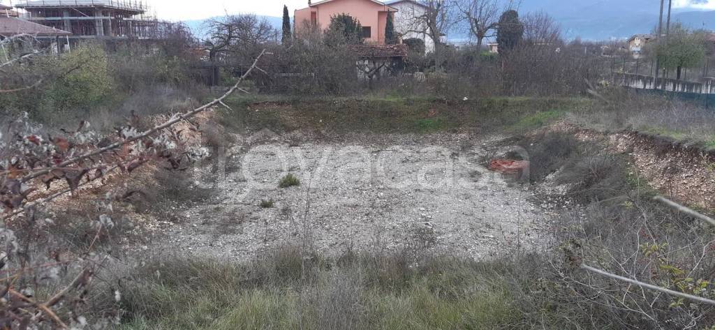 immagine annuncio 2 di 6