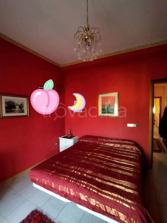 immagine annuncio 8 di 14