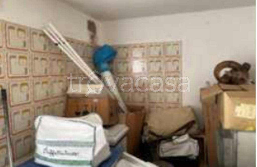 immagine annuncio 7 di 12