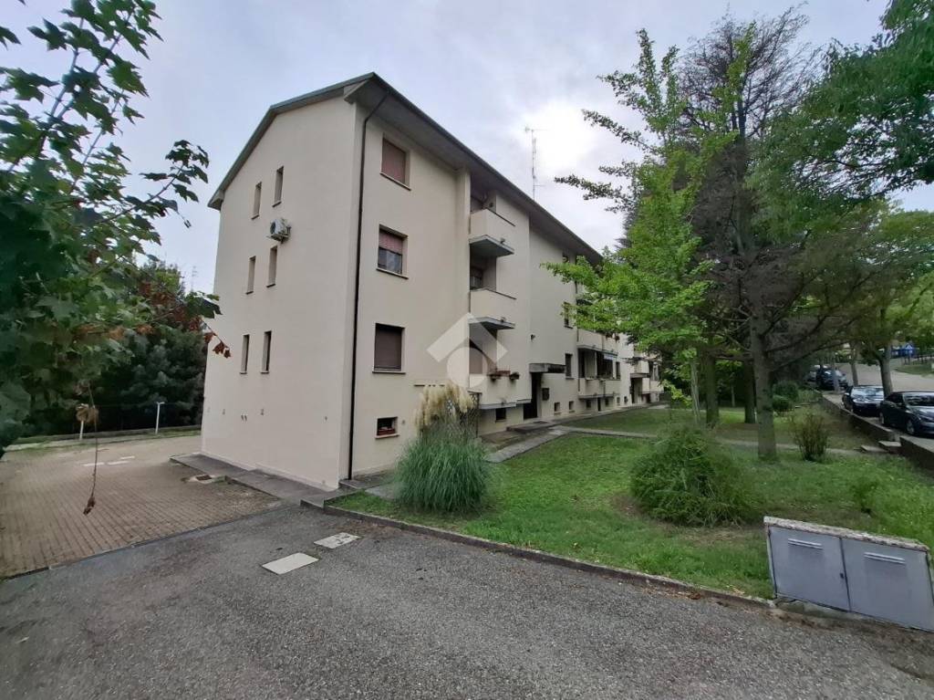 immagine annuncio 12 di 13